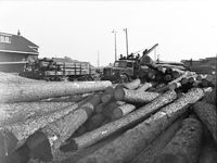 803254 Afbeelding van het overladen van boomstammen bij de houtlading van het N.S.-station Winterswijk te Winterswijk.